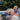 The Science of Ice Baths: Insights from Prof. Thomas Seager